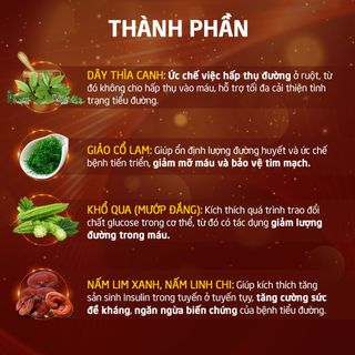 Viên Uống Giảm Đường Huyết - Đường Huyết Vương