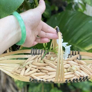 Bánh đuôn sầu riêng Bến Tre