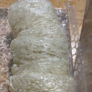 Yến tổ rút lông