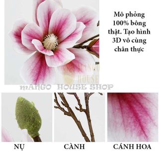 Cành hoa mộc lan 5D cao cấp loại 1, cao 1m. Hàng Trung xịn, màu tươi sáng, đẹp.