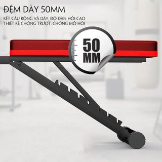 Ghế Tập Tạ Đa Năng - Máy Tập Tạ, Tập Gym - Ghế Tập Gym Tại Nhà, Cơ Tay, Bắp Tay, Cơ Bụng