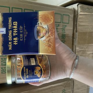 Nấm đông trùng hạ thảo