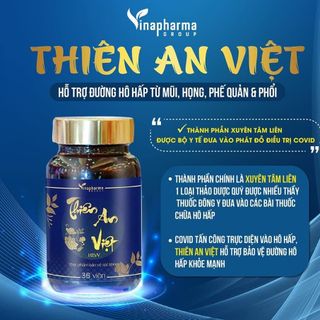 Thiên An Việt