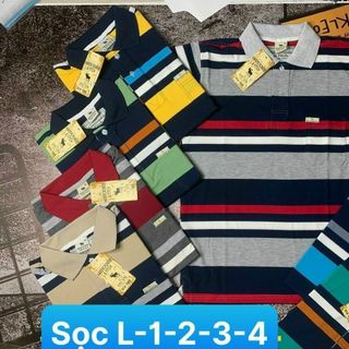 ÁO THUN CỔ TRỤ TRUNG NIÊN XỊN CHẤT LIỆU COTTON PHONG CÁCH