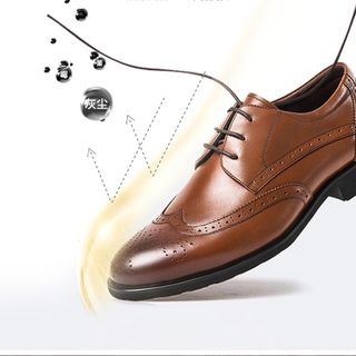 Xi đánh giày da dạng lỏng LIQUID SHOE POLISH đa năng 75ml đen trắng nâu