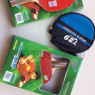 Vợt bóng bàn 729-2020