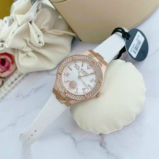 ĐỒNG HỒ VERSUS VITTORIA NEW ARRIVAL SIÊU CẤP
