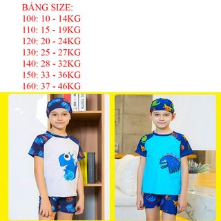 Bộ bơi bé trai rời in hình khủng long