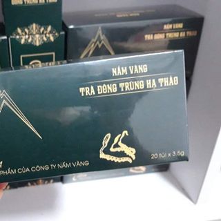 Trà Đông trùng hạ thảo Nấm Vàng giá sỉ