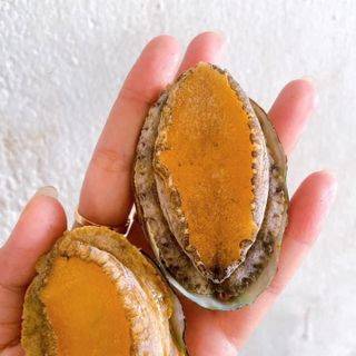 Bào ngư hàn quốc size 18-20 con