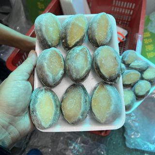 Bào ngư hàn quốc size 18-20 con