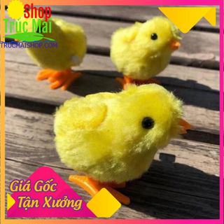 Combo Set 5 Chú gà con chạy cót - Đàn gà con lông vàng Hàng Loại giá tận xưởng giá sỉ
