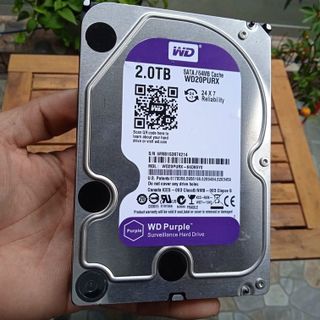 Ổ cứng chuyên dụng cho Camera giám sát HDD WD 2TB / 1TB / 500G / 320GB - Bảo hành 1 đổi 1 giá sỉ