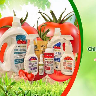 TÌM ĐẠI LÝ, NHẦ PHÂN PHỐI, CTV SẢN PHẨM ĐỒ GIA DỤNG HỮU CƠ 100%