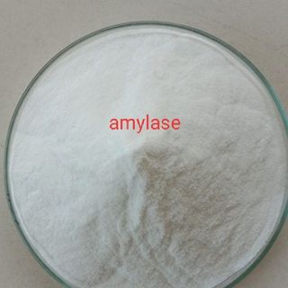 NGUYÊN LIỆU Enzyme Amylase 5.000 ui/g giá sỉ
