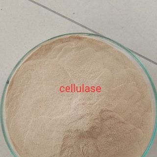 NGUYÊN LIỆU Enzyme Cellulase 5.000 ui/g giá sỉ