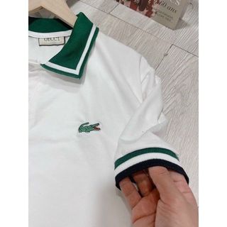 Áo polo nữ cổ xanh thêu logo cá sấu cao cấp