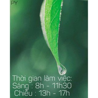 Bộ tô vít đa năng 31 đầu kèm hộp đựng tiện dụng