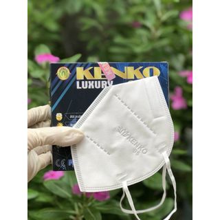 Hộp 10 cái khẩu trang N95 kháng khuẩn 5 lớp