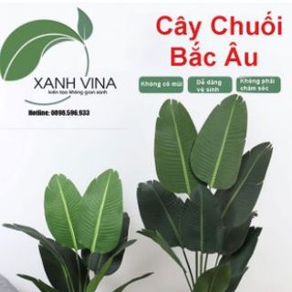 Cây chuối giả trang trí -xanhvina