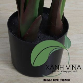 Cây chuối giả trang trí -xanhvina