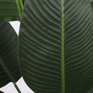 Cây chuối giả trang trí -xanhvina
