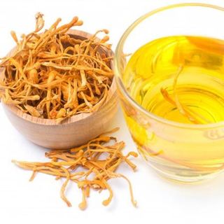 Nấm đông trùng tây tạng  (có hoa) Víp