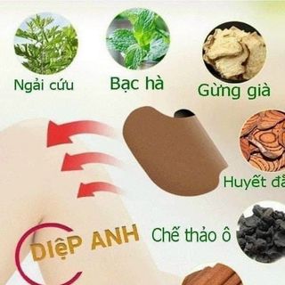 Cao dán vai gáy ngải cứu (hộp 12 miếng)