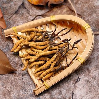 Con đông trụng hạ thảo Tây Tạng - tự nhiên 10gr