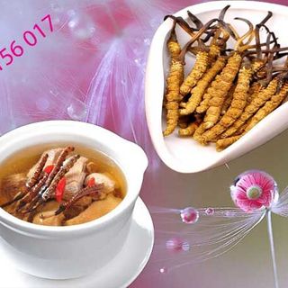 Con đông trụng hạ thảo Tây Tạng - tự nhiên 10gr