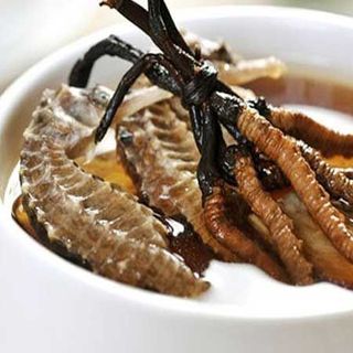 Con đông trụng hạ thảo Tây Tạng - tự nhiên 10gr