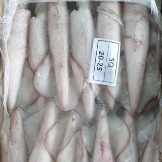 Mực ống đông size 20/25