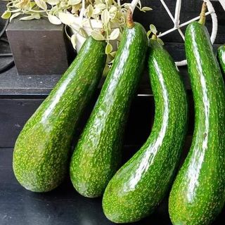 Bơ 034 (2,3,4 trái /1kg)