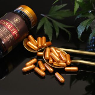 Tuyển đại lý - nhà phân phối các sản phẩm đông trùng hạ thảo sấy thăng hoa, viên nang đông trùng, viên nang bổ thận, viên nang bổ phế