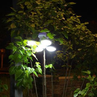 Bóng đèn tích điện 4 Cánh có bin Năng lượng mặt trời sử dụng từ 7 đến 8 Tiếng