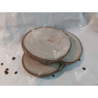 Miếng gỗ, lát gỗ xà cừ tự nhiên decor dày 1 - 1.5cm, đường kính từ 15-20cm