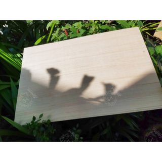Gỗ ép plywood dày 2.5mm chuyên làm mô hình, ảnh thật chụp