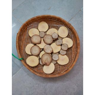 Set 10 lát gỗ tròn trang trí thủ công dày 3-5mm