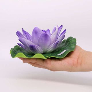 Hoa sen thả hồ, trang trí tiểu cảnh thả nổi trên nước