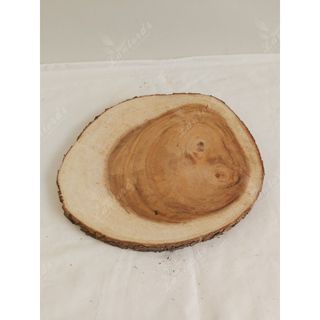 Lát gỗ me tây tự nhiên dày 3cm, đường kính 30-35cm giá sỉ