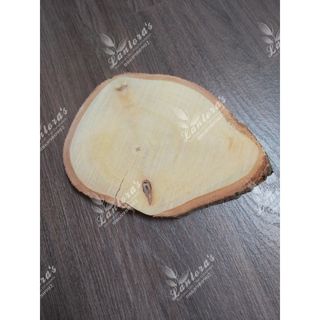 Miếng gỗ, lát gỗ tự nhiên decor dày 1.5-2cm, đường kính từ 15-20cm