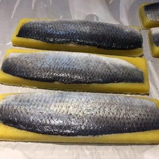Cá Trích Ép Trứng Sashimi