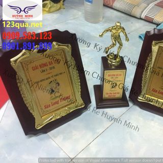Biểu trưng gỗ đồng, bảng vinh danh gỗ đồng chất lượng, sang trọng