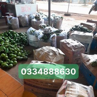 Bỏ sỉ bơ vườn, bơ sáp, bơ 034, bơ booth