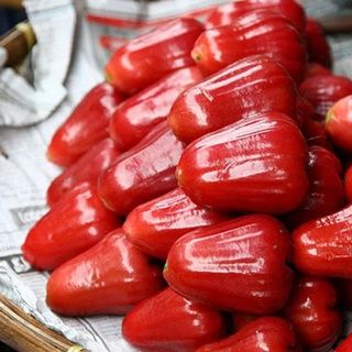 quả roi