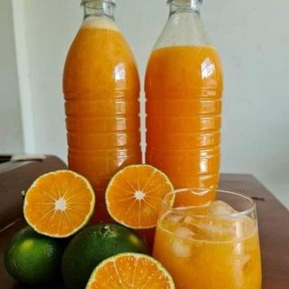 Quýt đường Mường Khương