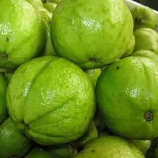 Quả ổi