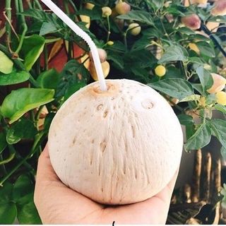 Dừa xiêm gọt sọ Bến Tre