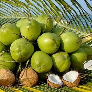 Dừa xiêm gọt sọ Bến Tre