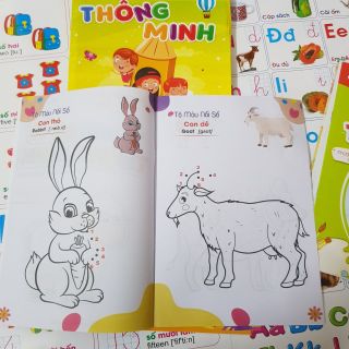 Túi 8 cuốn tô màu thông minh